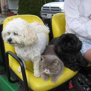 Meet your Posher, Eva